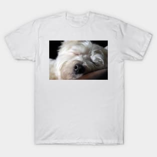 Westie T-Shirt